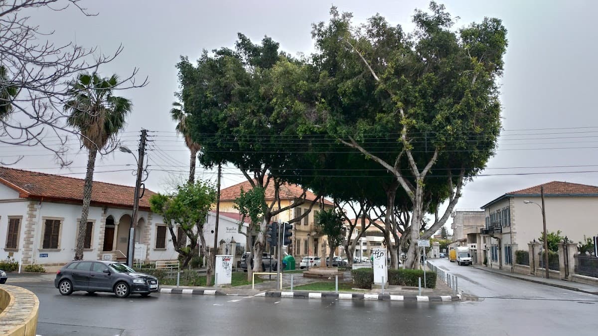 Driving School Limassol Christakis Christoforou