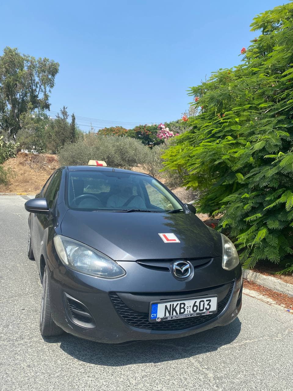 Andy's Driving School 2